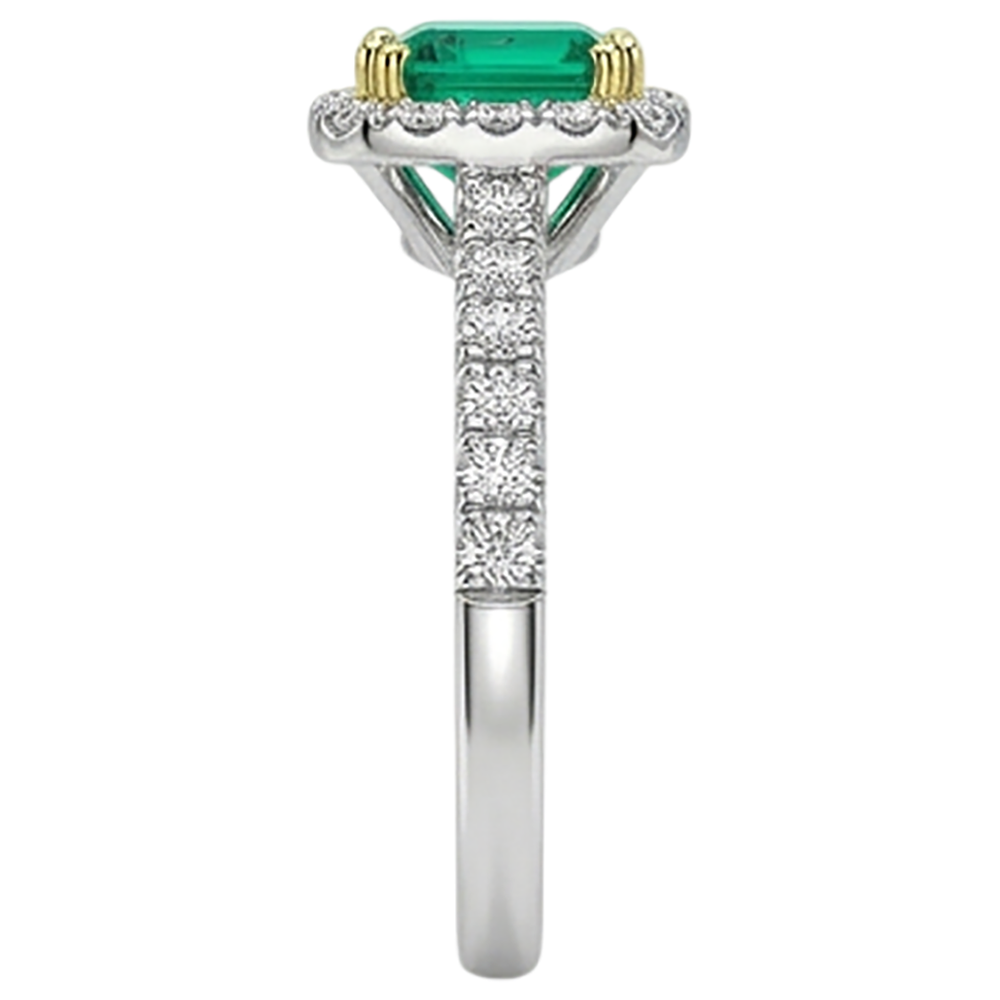 Precious Stone Ring Two-Tone 14K Gold with Emerald – back view