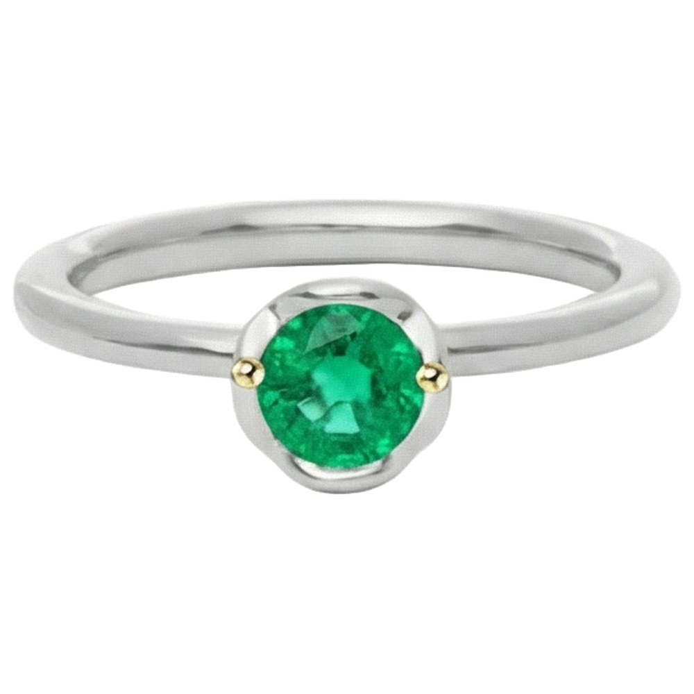 Precious Stone Ring Two-Tone 14K Gold with Emerald – angle view