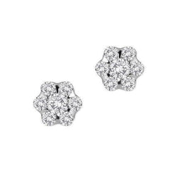 5.25 Carats Round Cut Real Diamond Women Pave Stud Earrings White Gold 14K