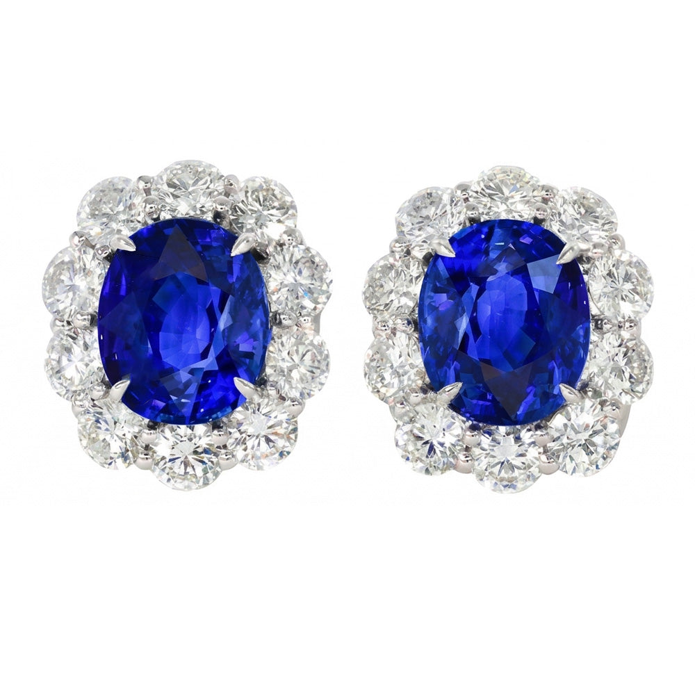 6 Carats Prong Set Ceylon Sapphire Stud Earrings White Gold 14K