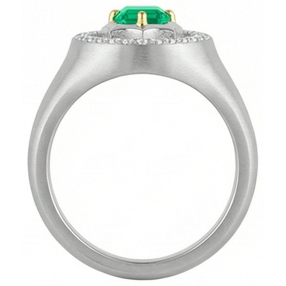 Emerald Cut Emerald ring in 14 Karat Two Tone Gold – back view
