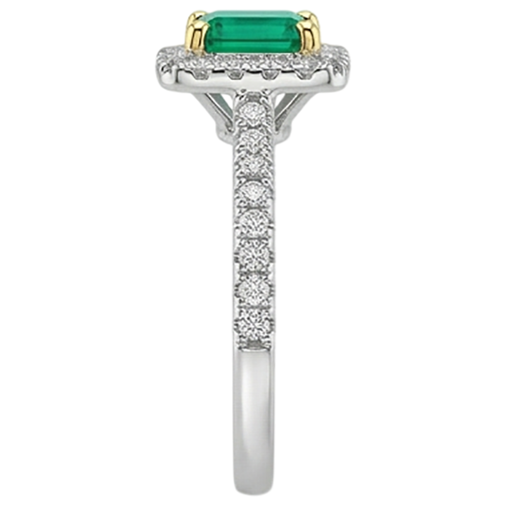 Gemstone Ring Two-Tone 14K Gold with Fine Emerald – back view