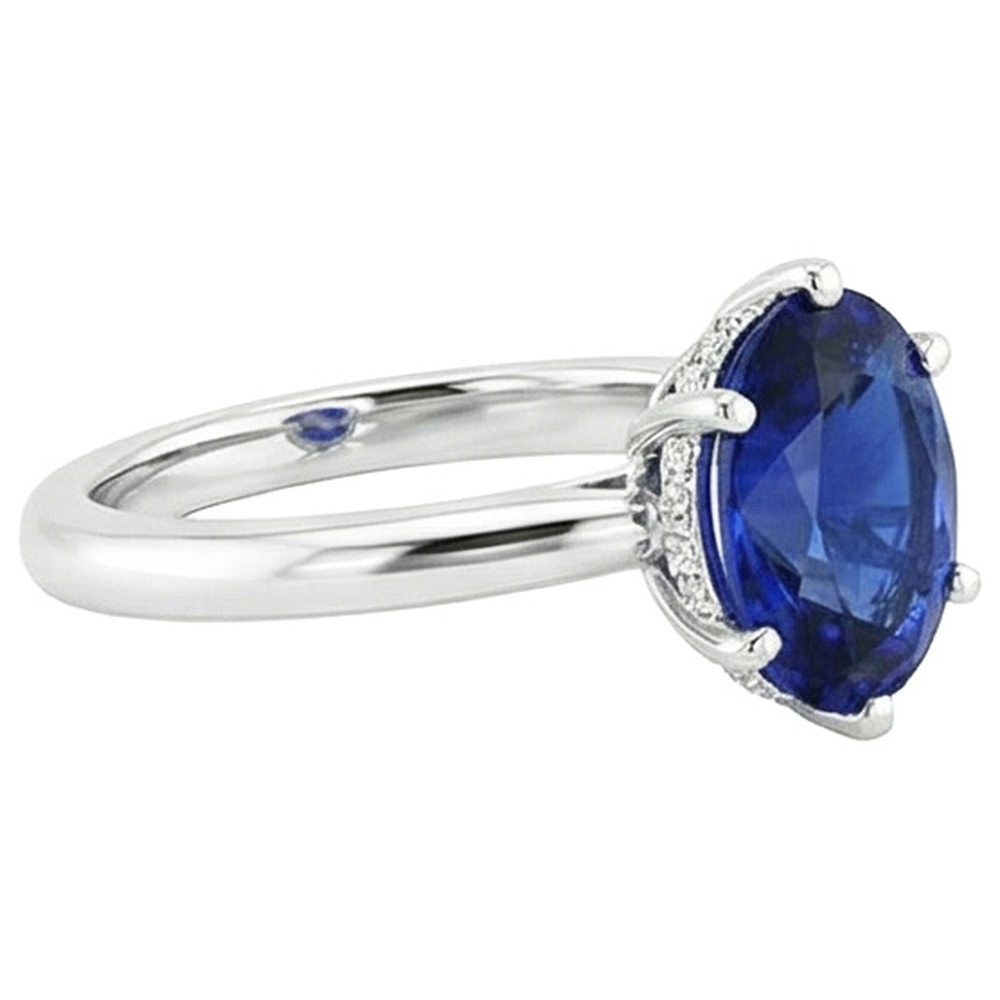 Oval Solitaire Ring Ceylon Sapphire 2.50 Carats White Gold Prong Set