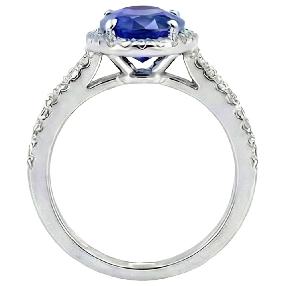 White Gold 4.81 Carat Ceylon Sapphire Natural Earth Mined DIAMOND ( NOT LAB GROWN )s Double Shank Ring