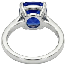 natural round sapphire 6ct ring on white background