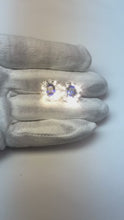 6 Carats Prong Set Ceylon Sapphire Stud Earrings White Gold 14K