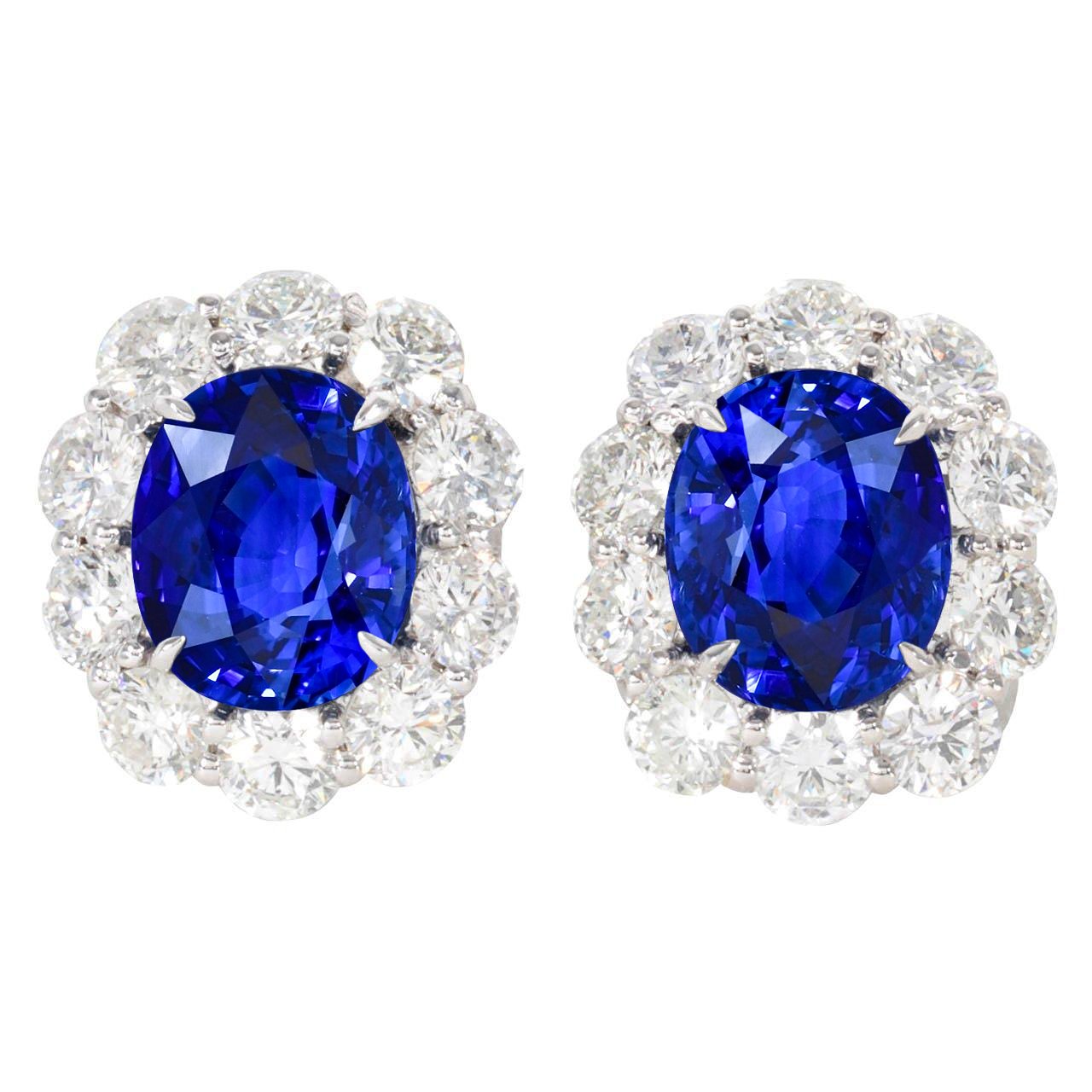 6 Carats Prong Set Ceylon Sapphire Stud Earrings White Gold 14K