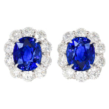 6 Carats Prong Set Ceylon Sapphire Stud Earrings White Gold 14K